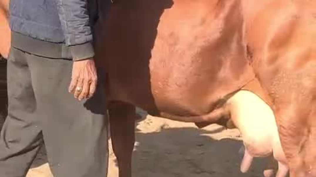 ⁣VID-20251213-WA0008