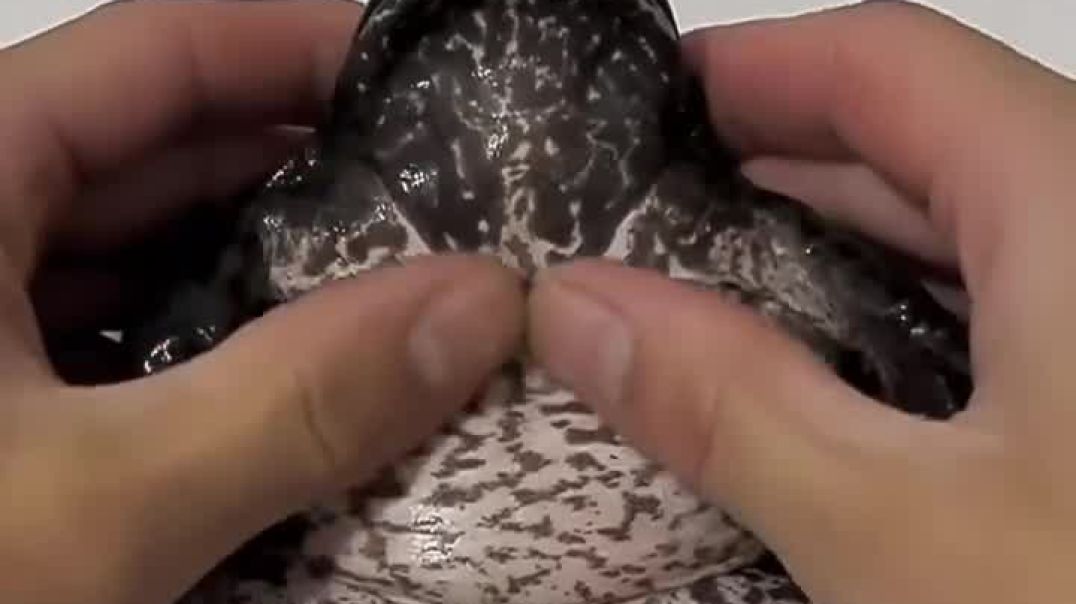 ⁣ये क्या हुआ मंदक के साथ