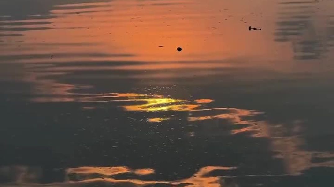 instagram_1765027899301(720p)