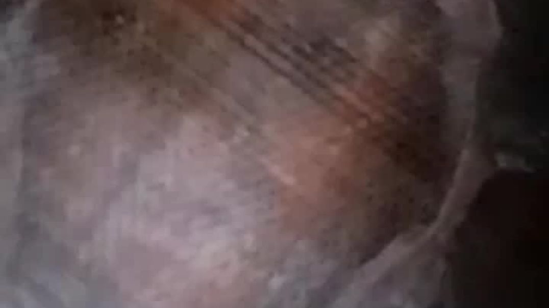 VID_20251010_090749_831