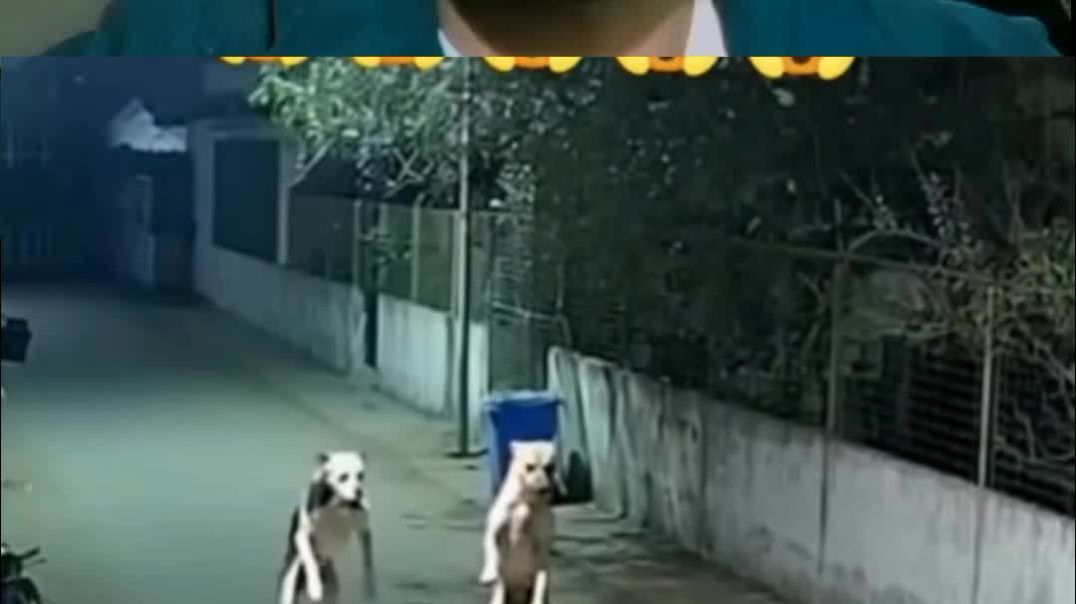 ⁣हवा में उछाल दिया