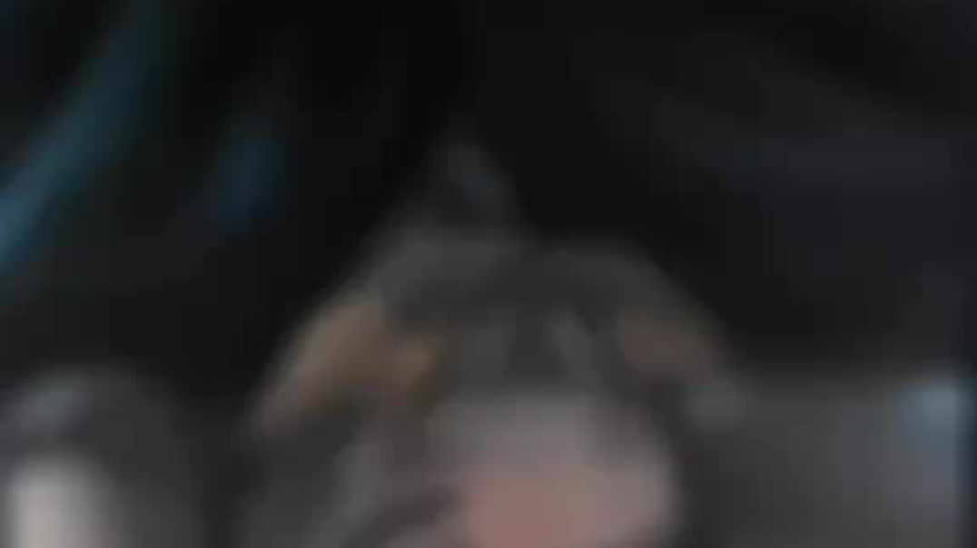 94bccbe68e500b712ab01fdd52ff70c3