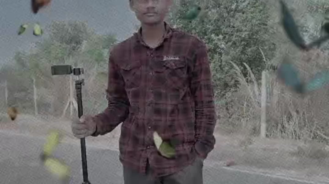 lv_7540932027562937653_20251215191907