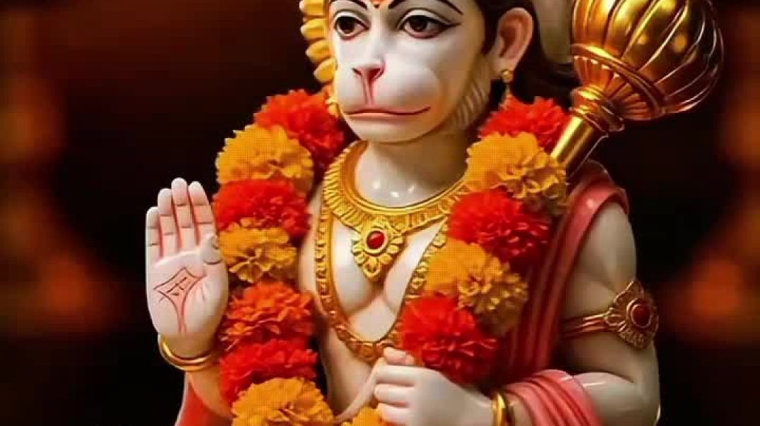 VID_20251223_022753_794