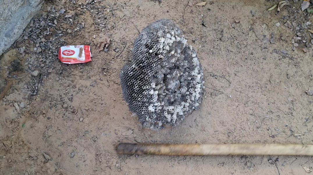 ⁣My best friend ko dekho