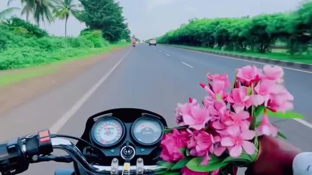 __saurya_37___281036294