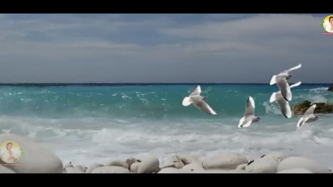 ⁣VIDHI_DESHWAL_VAKT_KI_HAWA-_वकत_्की_हवा__Latest_Song_2020(480p)