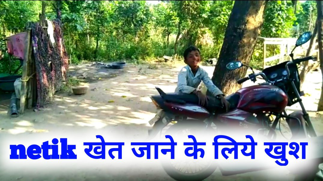 Netik or deepak dino खेत