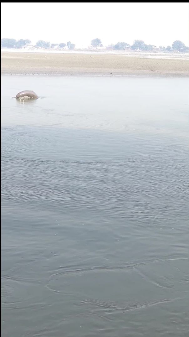JASPAL ✨ kachhla Ganga Ji Ghat