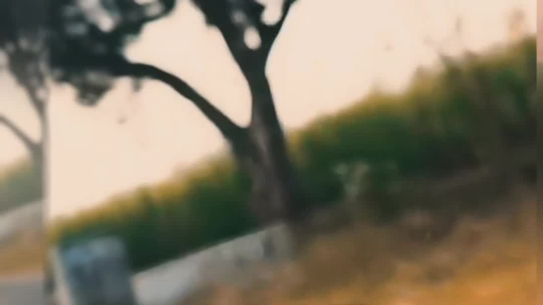 ⁣Riding bike & short video