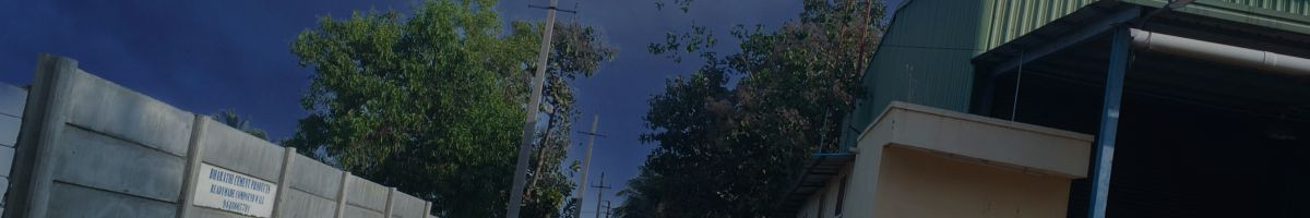 106249400099160272453 