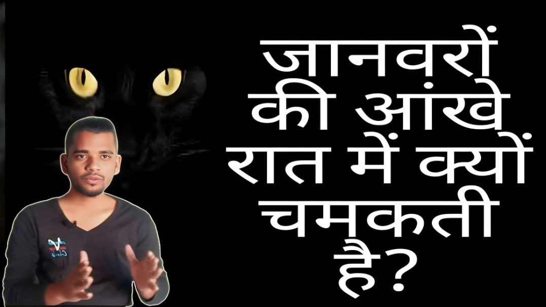 ⁣रात में जानवरों की आंखे क्यों चमकती है | raat me janwaro ki aankhe kyo chamkti hai | AC Prashant