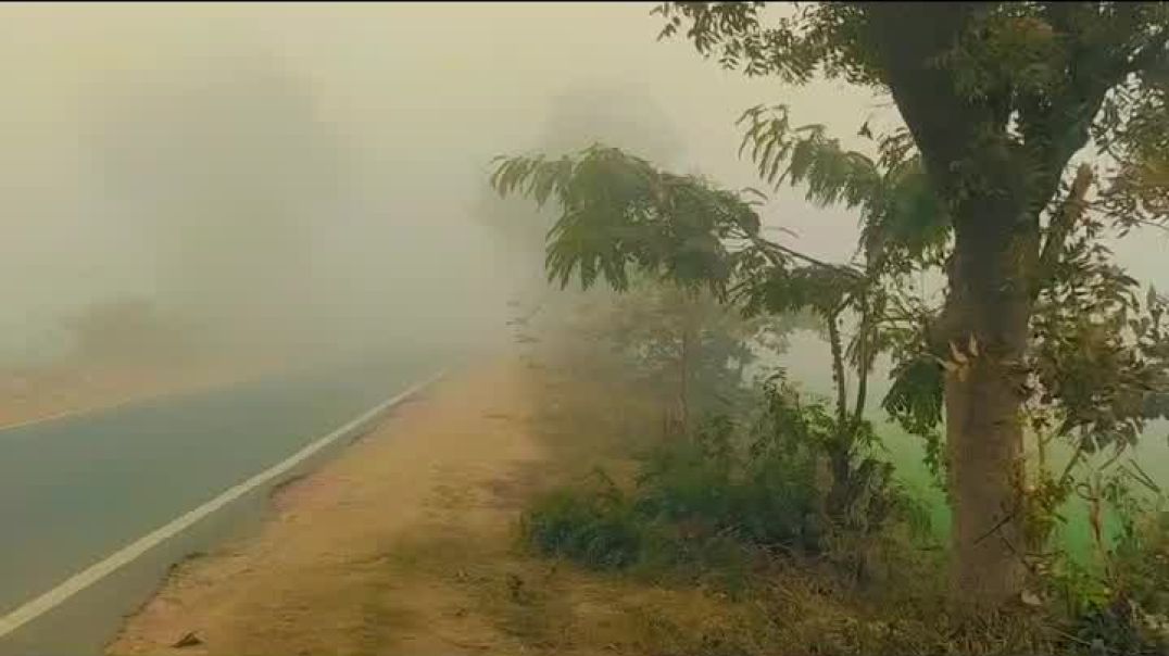 ⁣Last december month 2025 ka 🌫️ fog || short vlog video #pankajthetrip #apnatube #vlogvideo #short #a