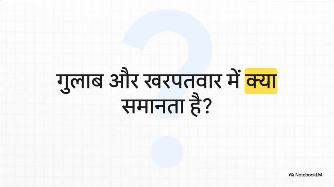 ⁣11th Biology Chapter 5 फूल_का_गुप्त_ब्लूप्रिंट