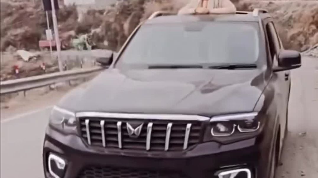 ⁣Ghumi ghumi✌️