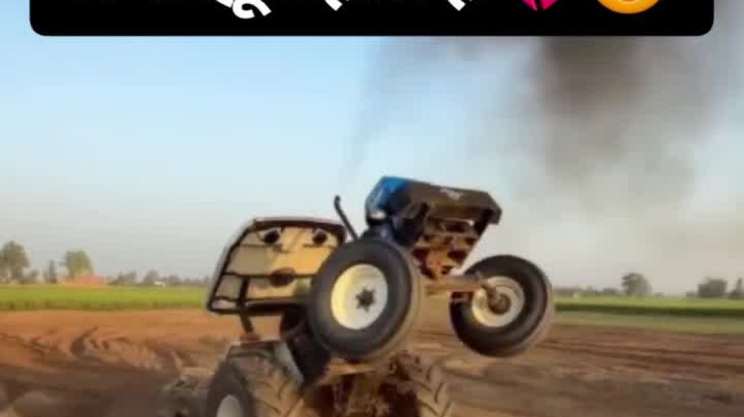 ⁣Chouhan king viral video shorts Chouhan king 🤴