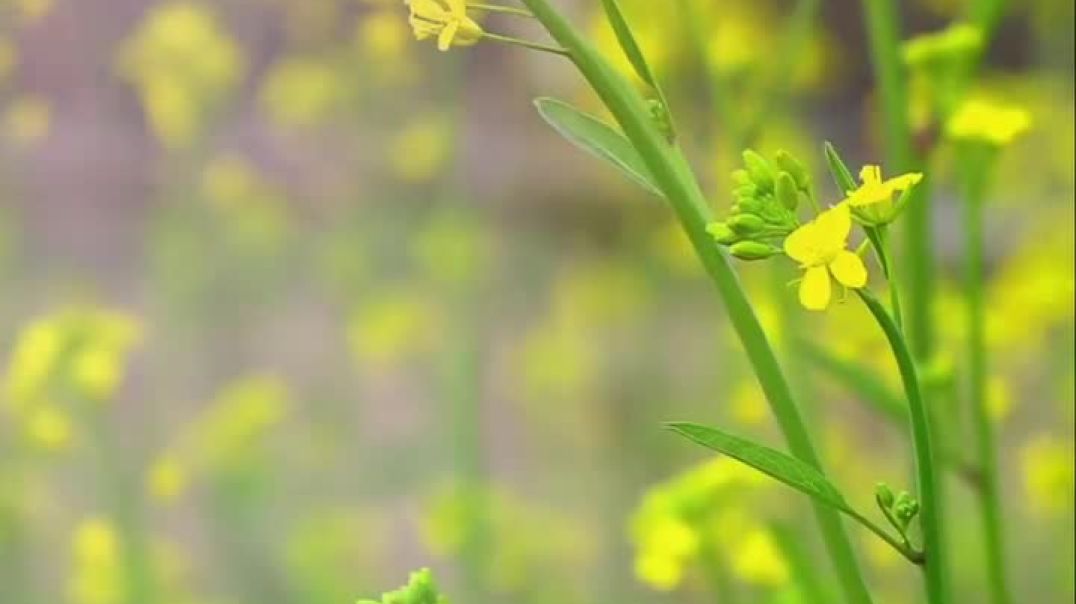 ⁣Good morning 🌞