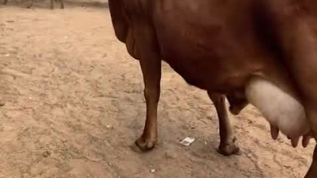 ⁣VID-20251206-WA0012