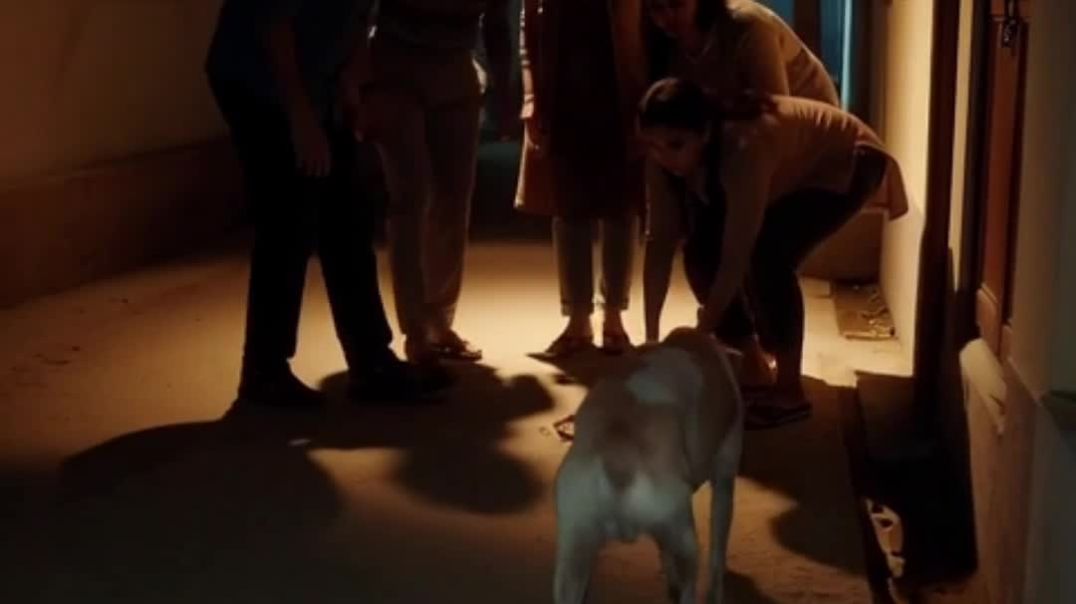 ⁣यह टाइगर की सच्ची कहानी है