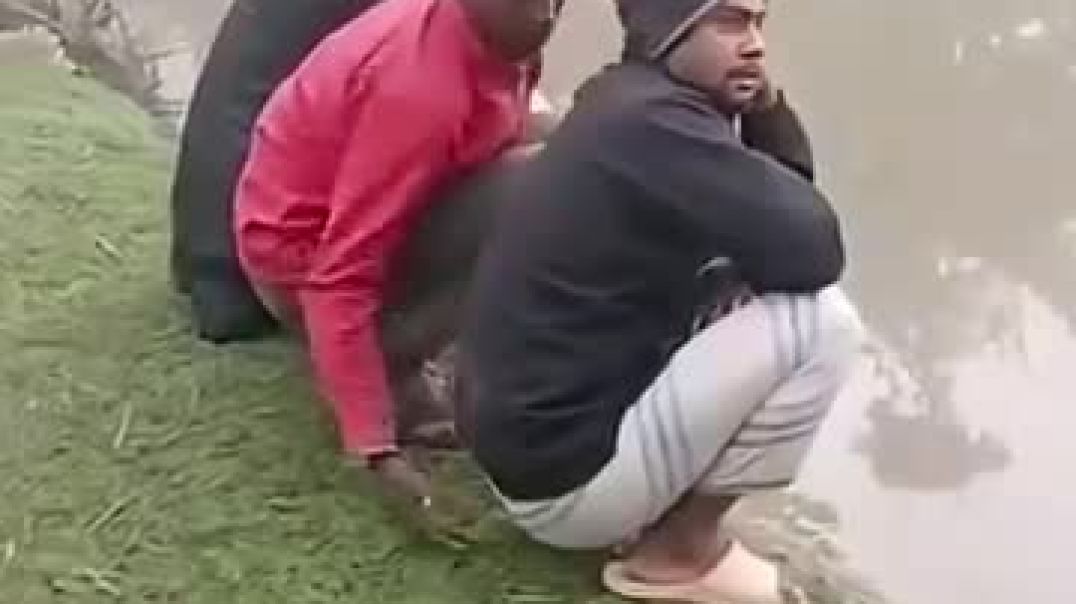 ⁣Epic Funny Video 😂😂😂_funny _funnyvideos _viralvideo _comedy _shortvides(360P)