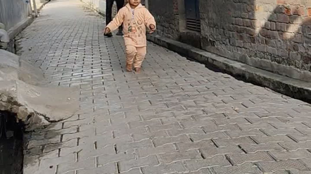 video_20250301_155328