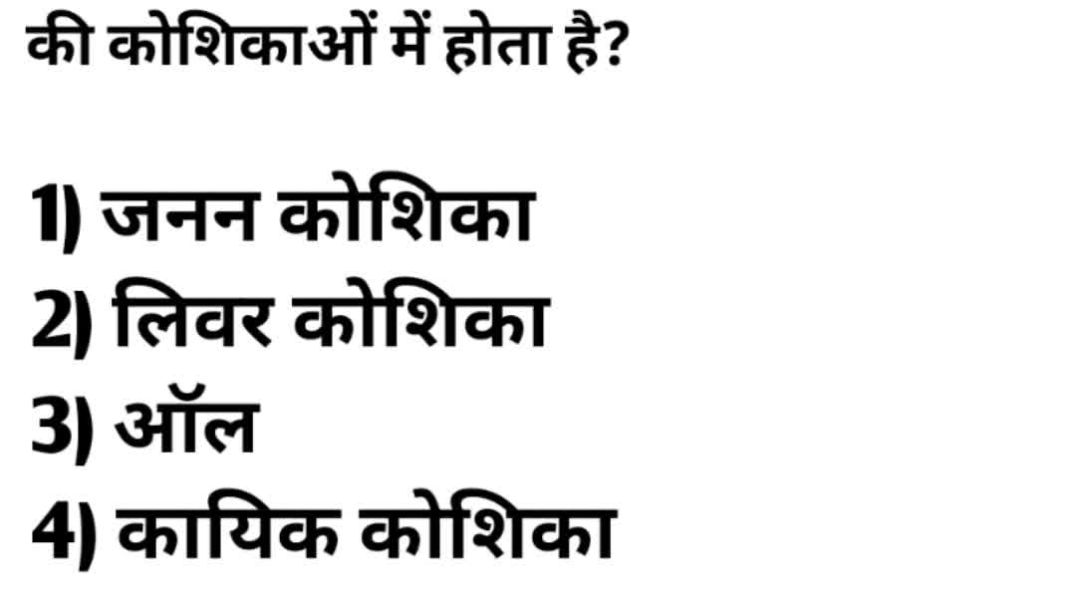 video_20251221_043407_edit