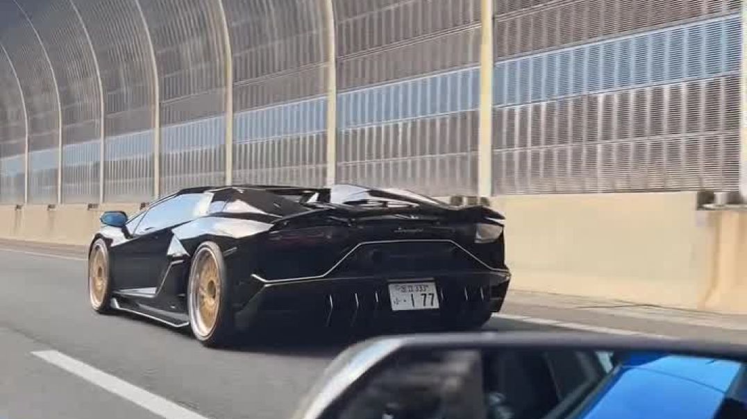 ⁣Black Lamborghini cuteness supercar