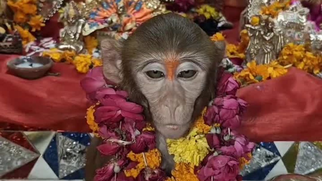 ⁣जय भंजन मारुति नंदन#song#shorts#video#viralytshort