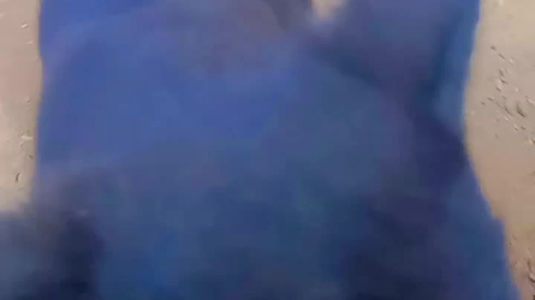 VID_20251202_032545_156