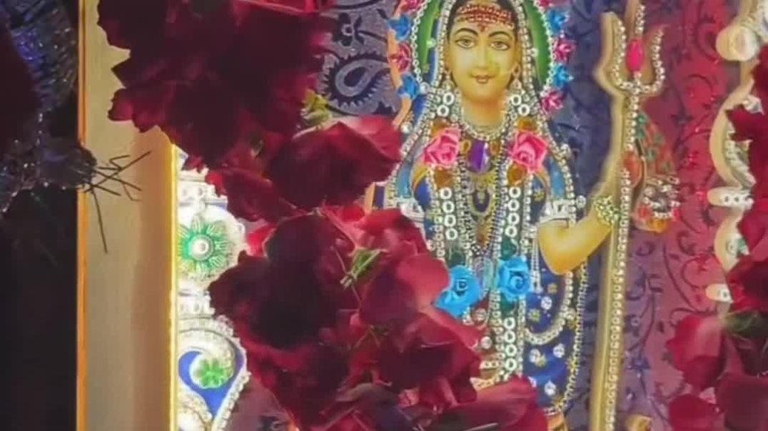 VID_20251211_043908_708