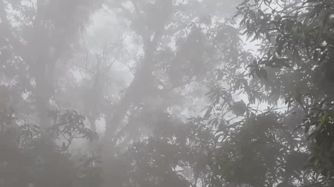 ⁣instagram_1765677382988(720p)