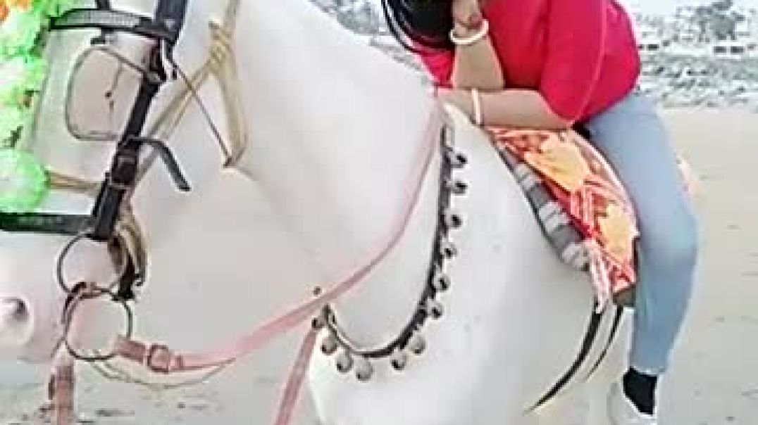 ⁣मोबाइल_नंबर_दे_दीजिए_रे_छोरा_गुर्जर_के_सिंगर _भूपेन्द्र खटाना 2019 (360p)