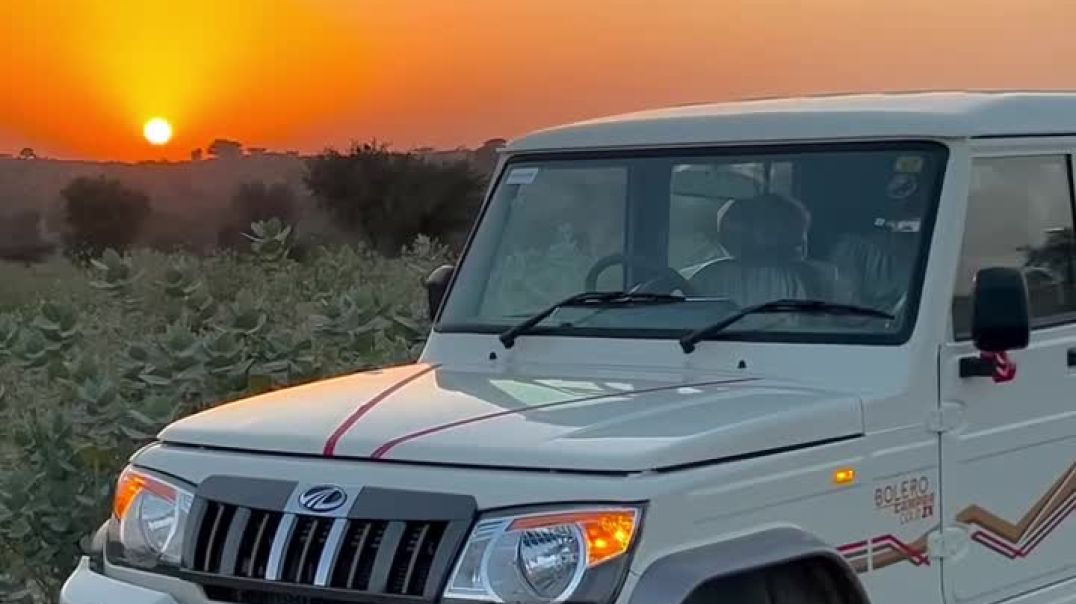 Mahindra Bolero Camper Story Stutas