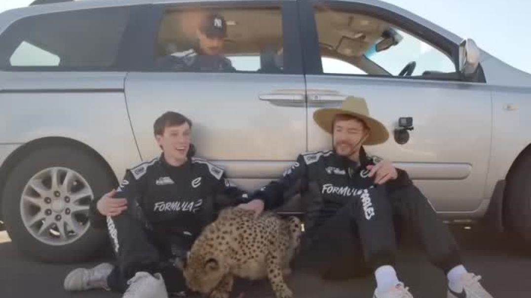 ⁣Mrbeast challenge for Cheetah Vs Formula car Rece