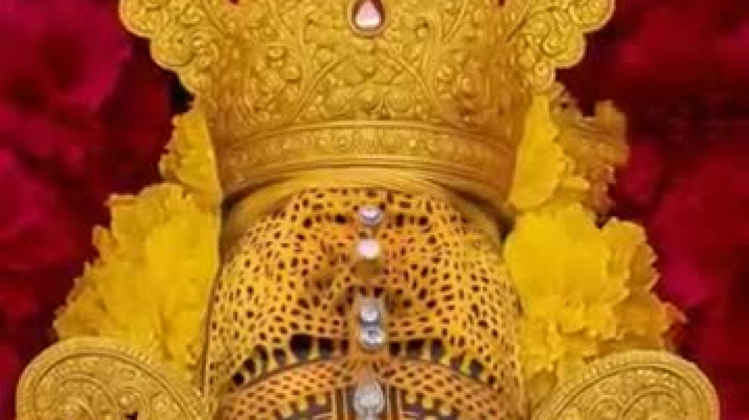 ⁣श्याम_की_कृपा_से_हुआ_है_नाम_मेरा🙏💖#shyamjibhakti#song#khatushyamji#views#video#croreviews(360p)