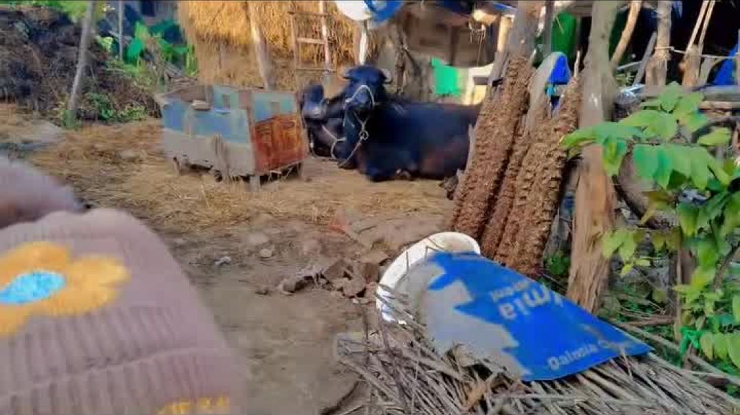 ⁣My First Vlog Vivek Gr Vlog #vivekgrvlog