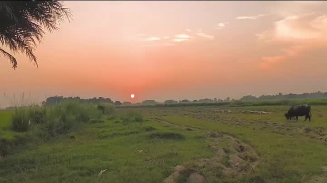 ⁣गांव की शाम ✨🌄🛖 follow me ❤️