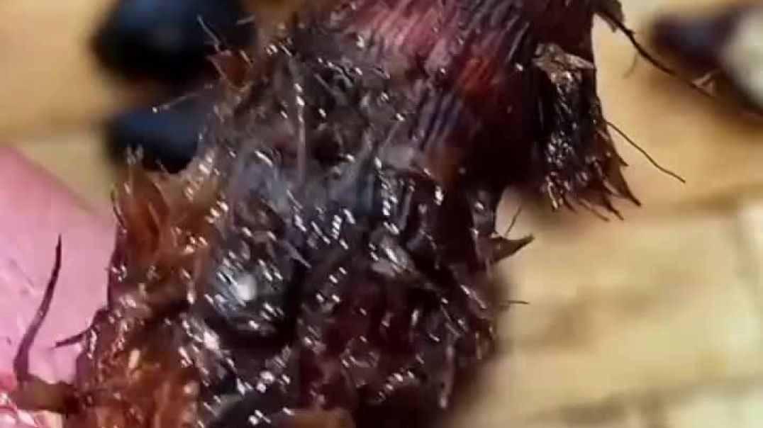 ⁣ये छोटी सी घास है आपकी सेहत का बड़ा हीरो !