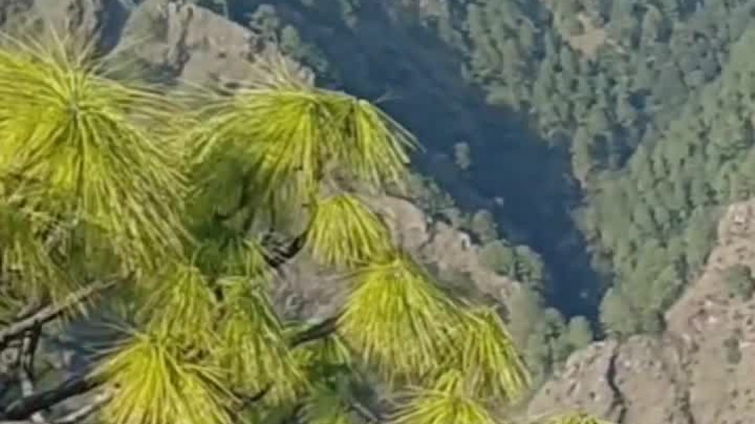 ⁣तू_खोल_के_दिल_रखना_जब_हाल_सुनाऊगा_माँ_🔱(720p)