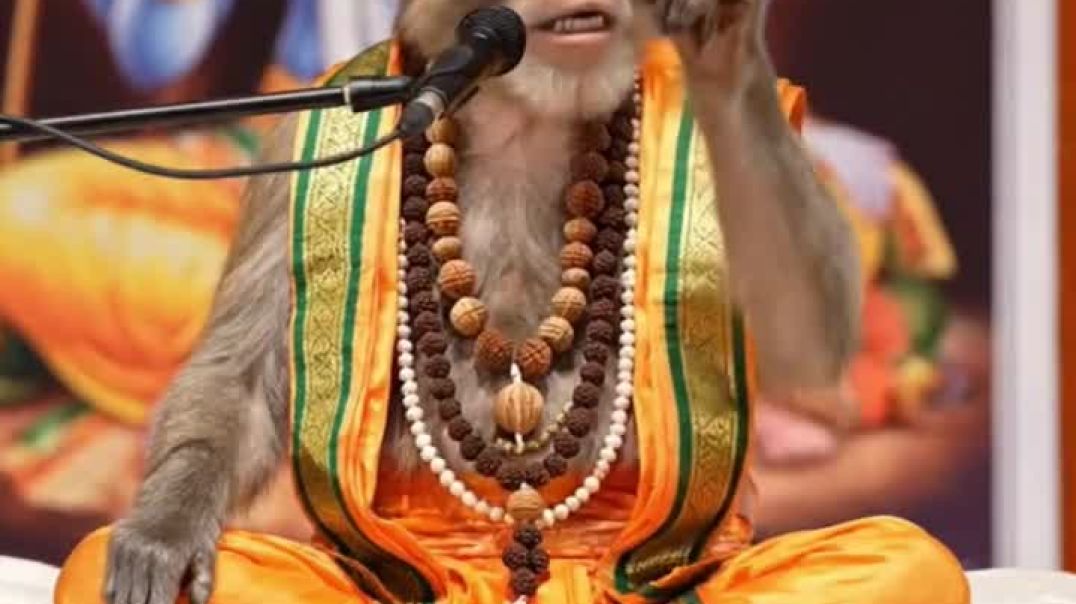 VID_20251231_215858_597