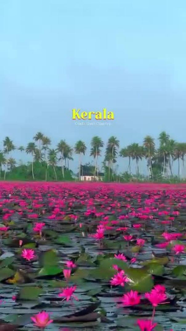 instagram_1764017829254(360p)