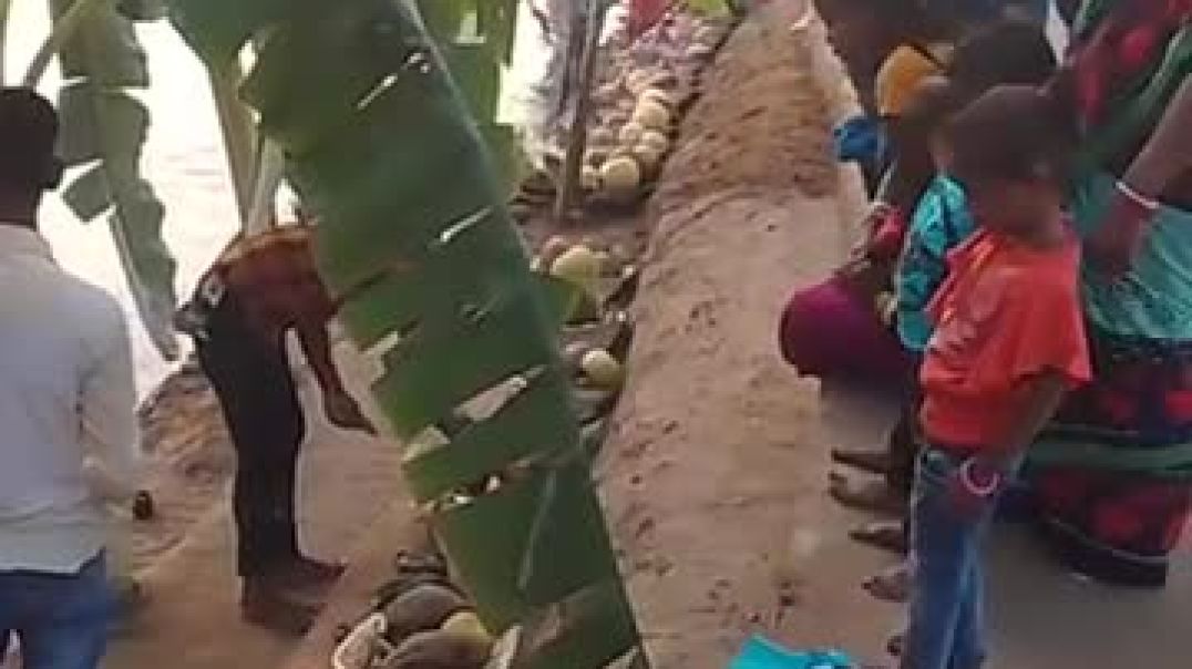 FB_VID_4090605715920401437