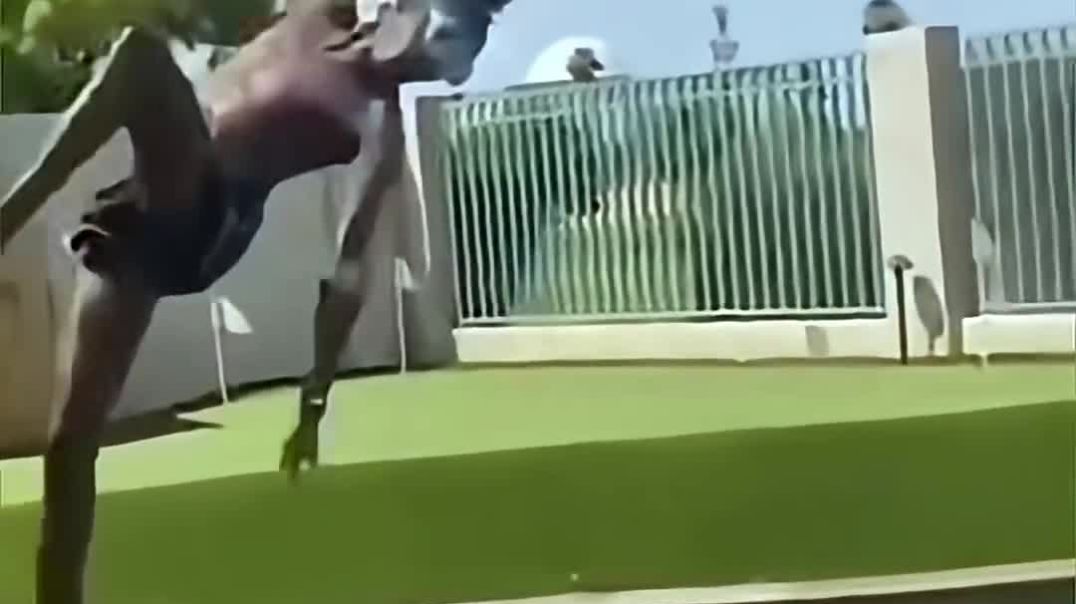 ⁣Crazy_epic_fails_😂😂😂__EP_59__#shorts_#memes_#fails_#funnymoments(1080p)