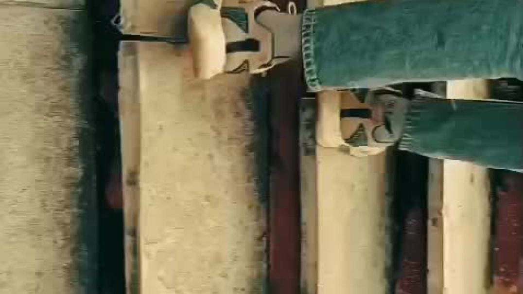 ⁣VID-20251208-WA0016