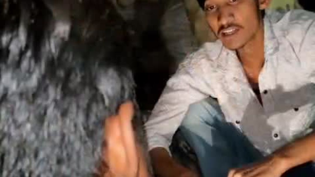 ⁣VID-20251211-WA0008