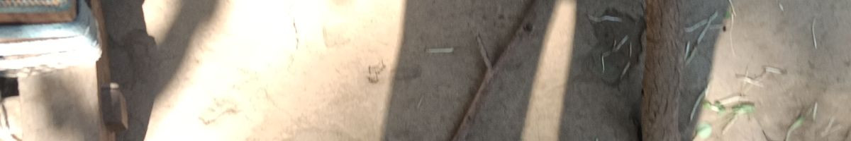 112086130738224769624 