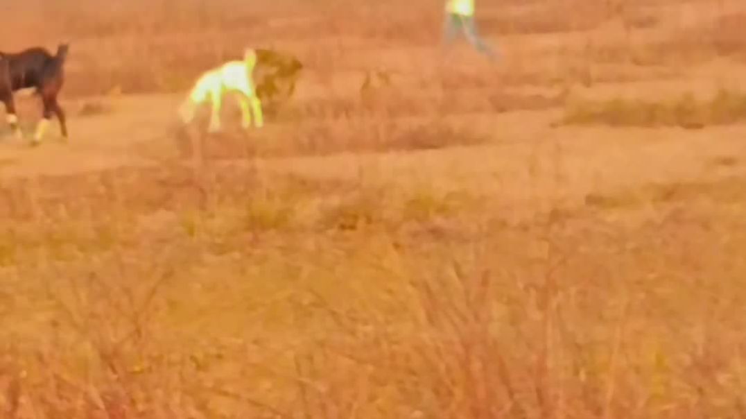 ⁣सुबह की नमस्कार