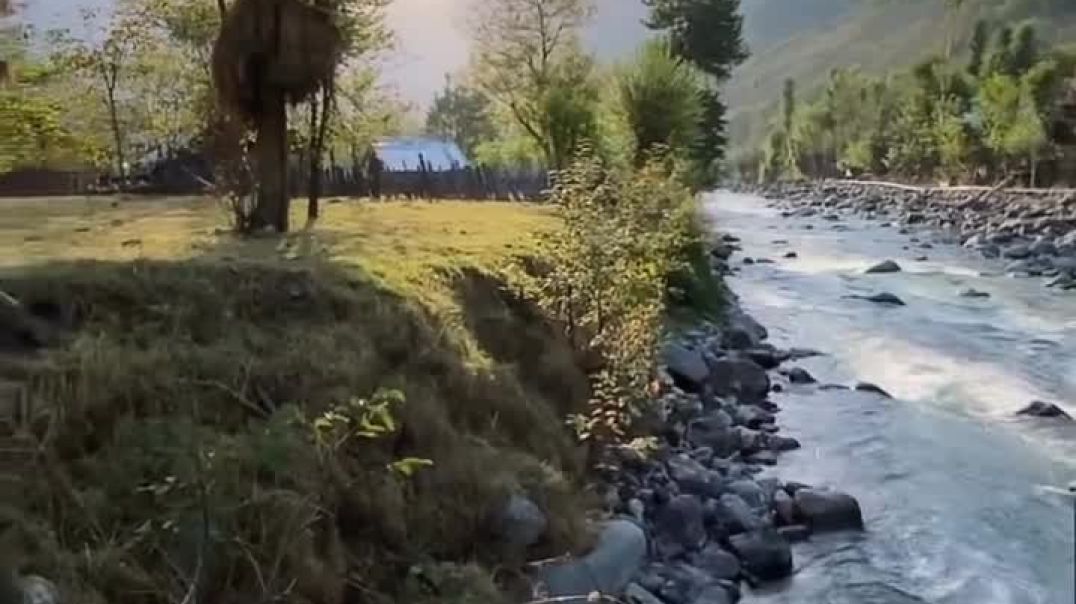 ⁣instagram_1764690911351(720p)