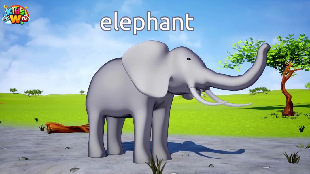 Wild_animals_name_and_sound_