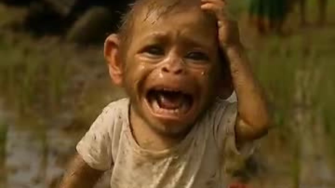 ⁣instagram_1764853943119(360p)